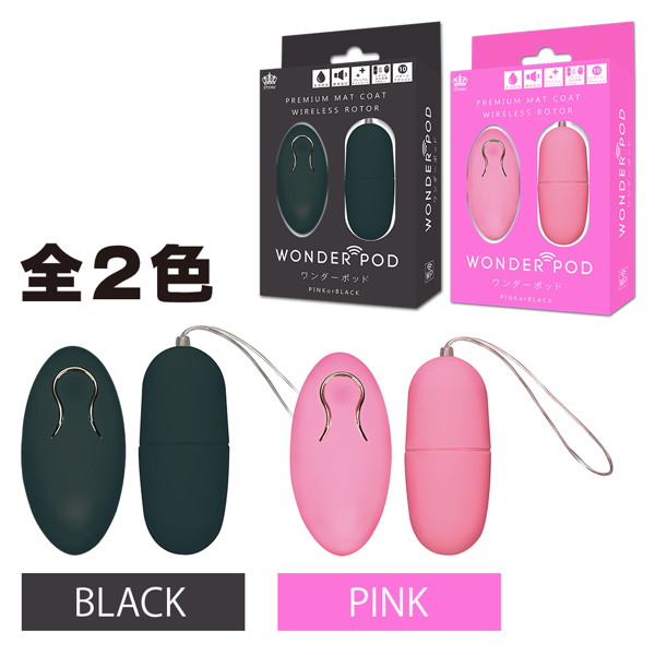 r remote loter ro2825jp-005