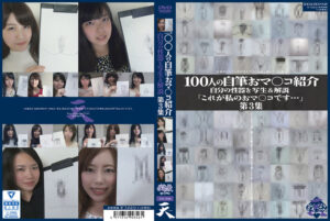 h_1387ga346rpl